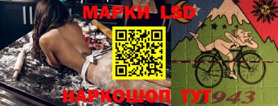 Альфа ПВП Можга