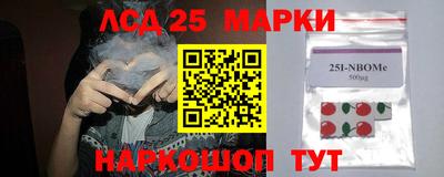 2c-b Новозыбков