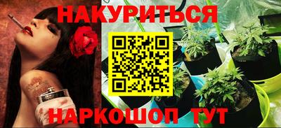 Альфа ПВП Можга