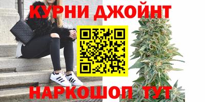 spice Новодвинск