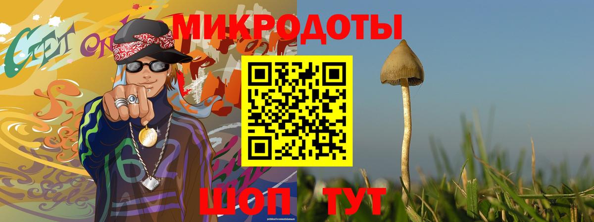Галлюциногенные грибы Magic Shrooms  Псилоцибиновые грибы Psilocybe  Чернушка  закладка  Вход с VPN 